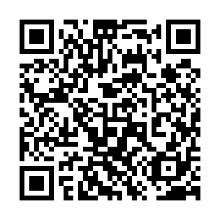 QR code for plate 6W 9510