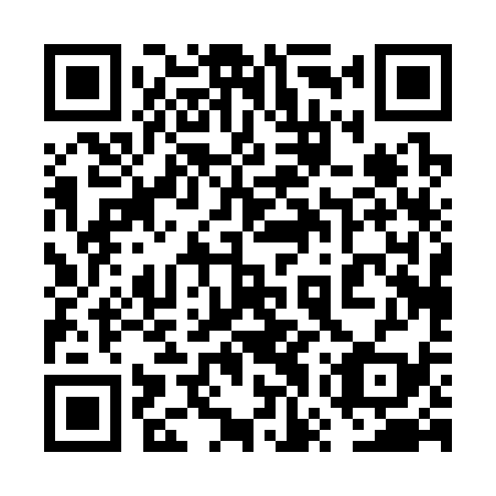 QR code for plate 6WP 339