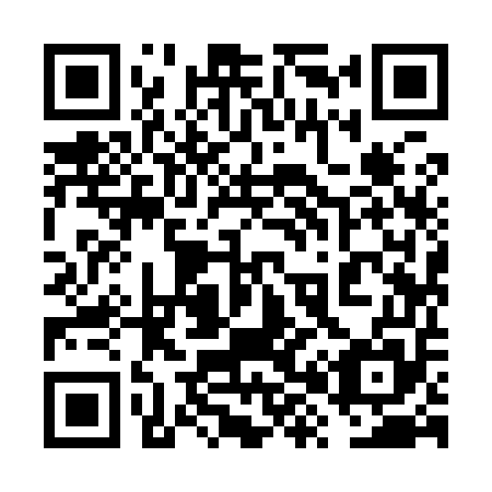 QR code for 6X 9955