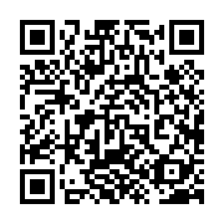 QR code for plate 6X 0029