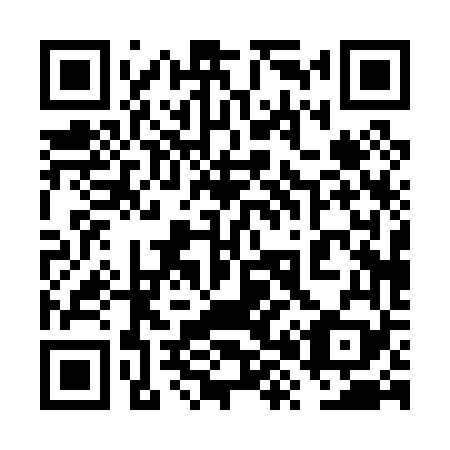 QR code for plate 6X 0069