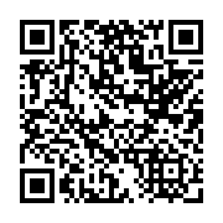 QR code for plate 6X 0619