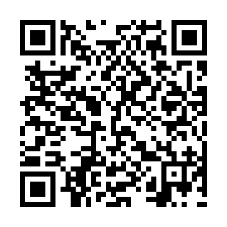 QR code for plate 6X 1596
