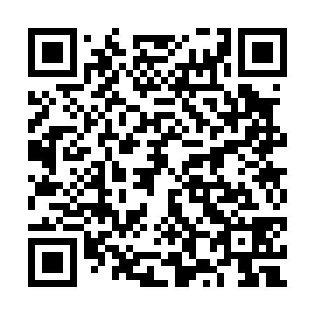 QR code for plate 6X 3038