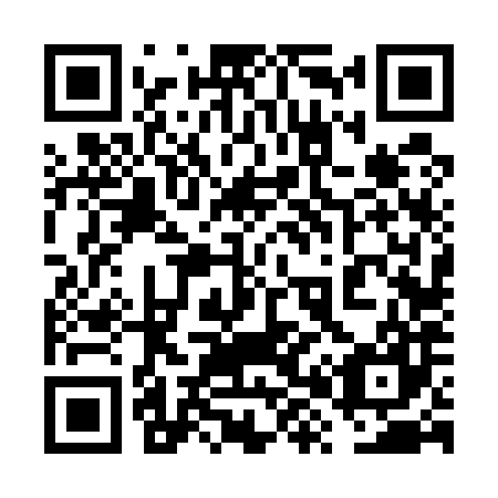 QR code for plate 6X 6587