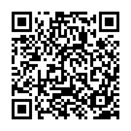 QR code for plate 6X 6877