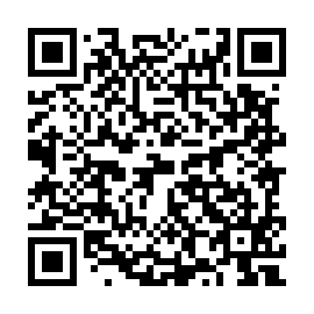 QR code for plate 6X 8595