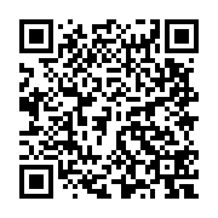 QR code for plate 6X 9518