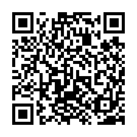 QR code for plate 6X 9613