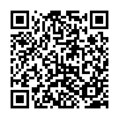 QR code for 6XG307