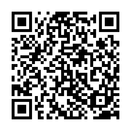 QR code for plate 6XI 303