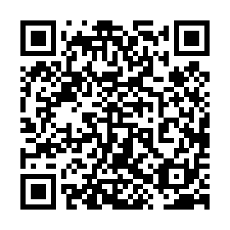 QR code for plate 6XP 411