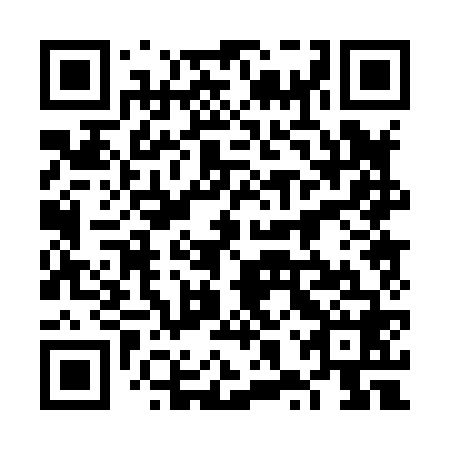 QR code for plate 6XP 868