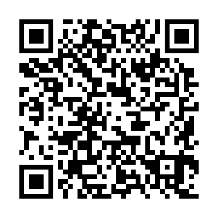QR code for 6Y 9381