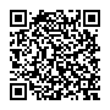 QR code for plate 6Y 0100