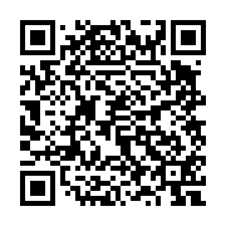 QR code for plate 6Y 2411