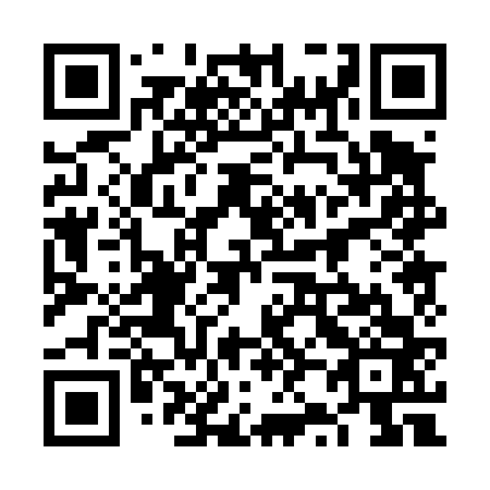 QR code for 6Z 0463