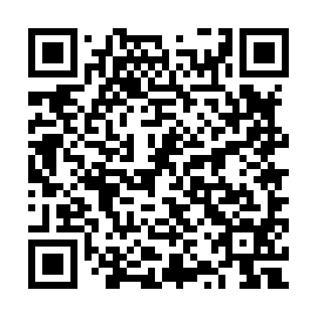 QR code for plate 6ZU 894