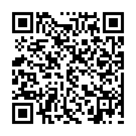 QR code for 6ZV 383
