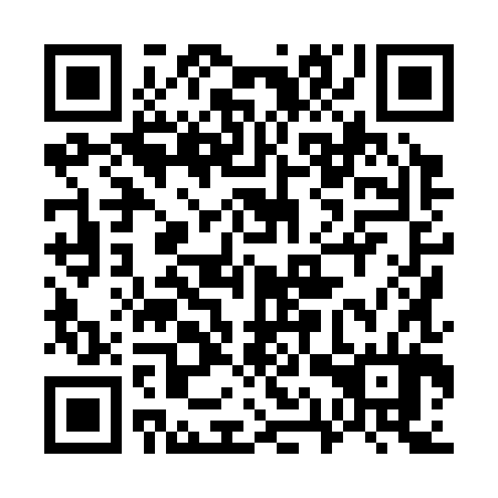 QR code for plate 71X 384