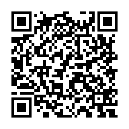 QR code for plate 71X 919