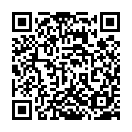 QR code for plate 72E 595