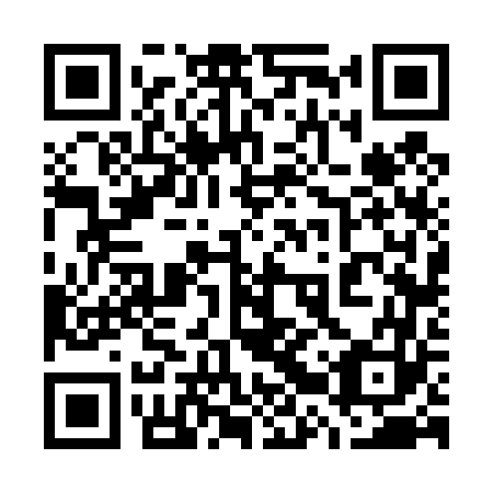 QR code for plate 72V 463