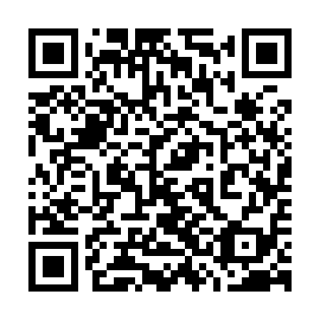 QR code for plate 73C 919