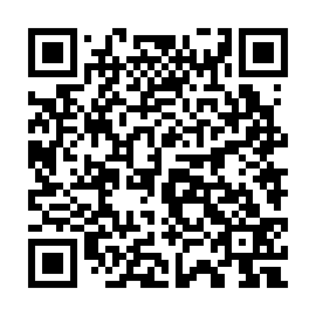 QR code for 73N333