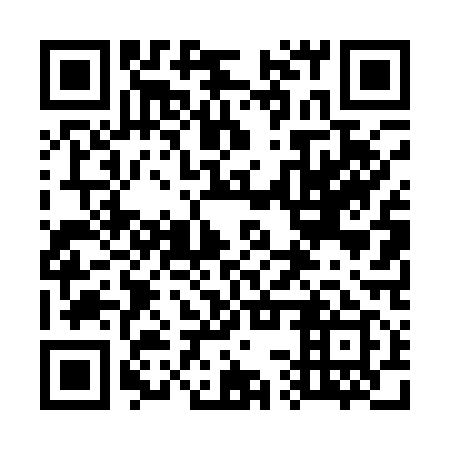 QR code for plate 73T 119