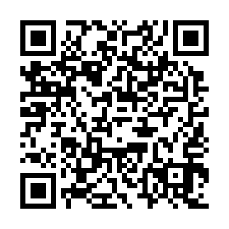 QR code for plate 74N 313