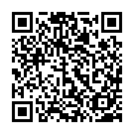 QR code for plate 77H 300