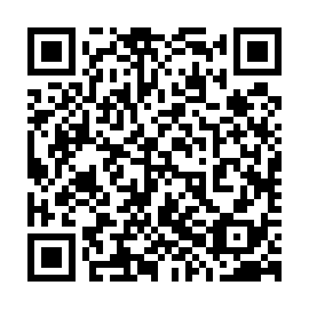 QR code for plate 78B 538