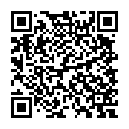 QR code for plate 78D 453