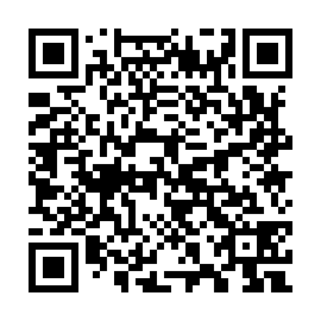 QR code for plate 78Q 938