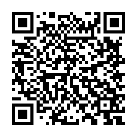 QR code for plate 79E 863