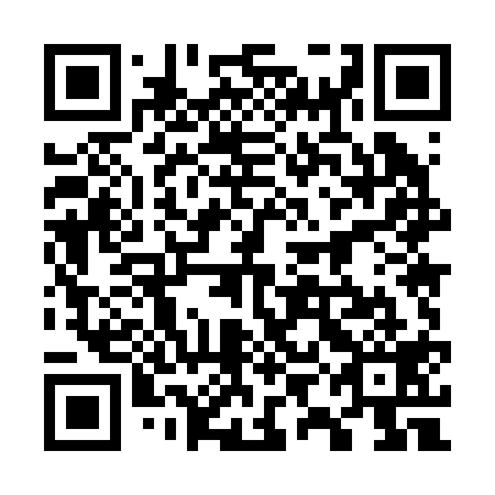 QR code for plate 79M 219