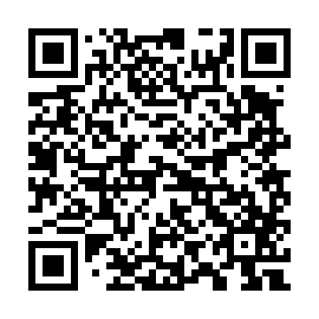 QR code for plate 79R 487