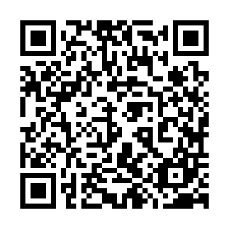 QR code for plate 79Z 307