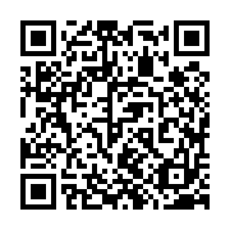 QR code for plate 79Z 513