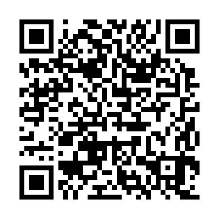 QR code for 7IR 383
