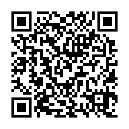 QR code for plate 7SO 335
