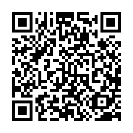 QR code for plate 7W 0808