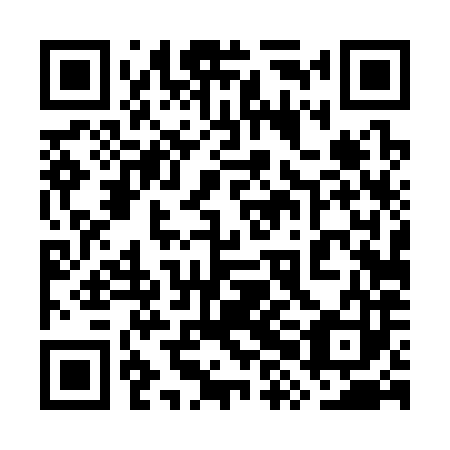 QR code for plate 7XD 383