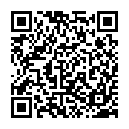 QR code for 80C317