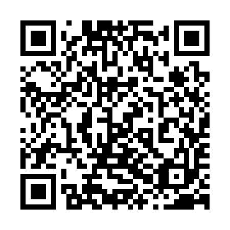 QR code for 80C393