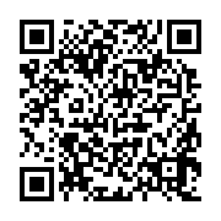 QR code for 80C398
