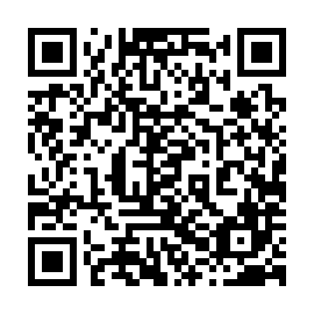 QR code for plate 80D 386