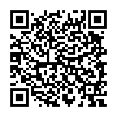 QR code for plate 80D 490