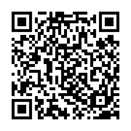 QR code for 80I 617